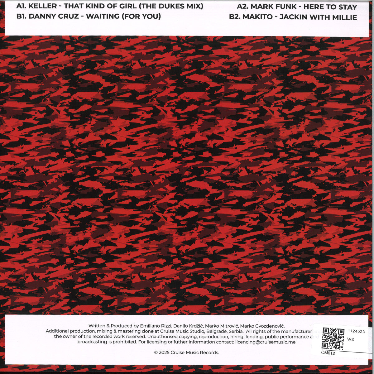 Various  - Cruise Music Vinyl Jams Vol XII